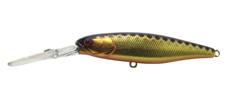 Jackall Hank Tune Squirrel 79mm 10.6g Jerkbait Hard Body Lure [cl:sparkle Gold]