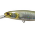 Jackall Hank Tune Squirrel 79mm 10.6g Jerkbait Hard Body Lure [cl:hl Cream Ayu]