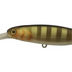 Jackall Squirrel Dd 67mm 7g Jerkbait Hard Body Lure [cl:brown Dog Gill]