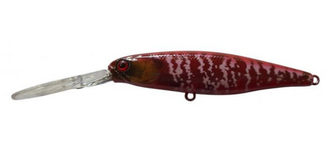 Jackall Hank Tune Squirrel 79mm 10.6g Jerkbait Hard Body Lure [cl:red Dog]