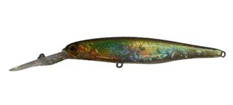 Jackall Super Squirrel 115mm 21g Jerkbait Hard Body Lure [cl:nf Ayu]
