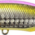 Duo Realis 64mm 9g Sw Popper Lure [cl:triple Threat]