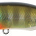 Duo Realis 64mm 9g Sw Popper Lure [cl:ghost Gill]