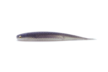 Raid Super Fishroller 6.5" Soft Plastic Lure [cl:zaco]