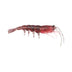 Pro Lure Clone Prawn 92mm Soft Plastic Lure [cl:bloodworm Uv]