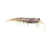 Pro Lure Clone Prawn 120mm Soft Plastic Lure > [cl:pearl Green Uv]