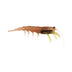 Pro Lure Clone Prawn 120mm Soft Plastic Lure >^ [cl:jelly Prawn Uv]
