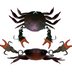 Cranka Crab 55mm 5.9g Heavy Hard Body Lure [cl:uv Crab]
