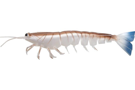 Irukandji Megaprawn 200mm Soft Plastic Lure [cl:blood N Bone]