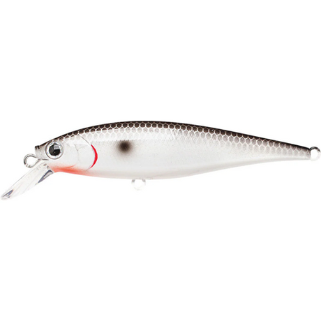 Lucky Craft Pointer 78sp 9.2g Hard Body Lure [cl:bloody Tennessee Shad]