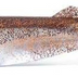 Cast Prodigy 3" Soft Plastic Lure > [cl:blood Shadow]