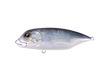 Bone Toughfia Gt Swimmer 150mm 105g Sinking Stickbait Lure [cl:giant Trevally]