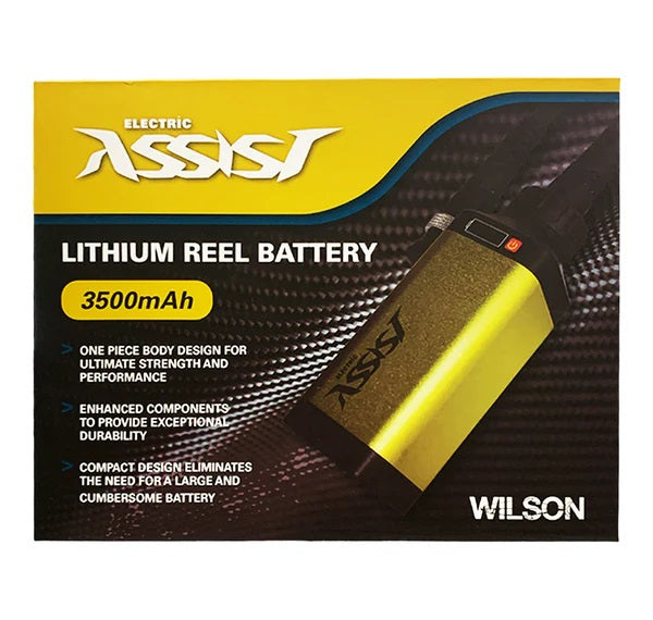 Ryobi gold battery best sale