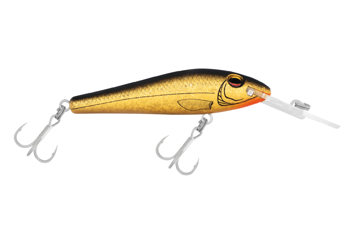 Halco Tbarra 80mm 13g Deep Diver Hard Body Lure [cl:gold Herring]
