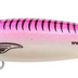 Reidy's Little Lucifer 65mm 11g Deep Diver Hard Body Lure [cl:010]