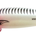 Reidy's Little Lucifer 65mm 11g Deep Diver Hard Body Lure [cl:034]