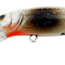 Reidy's Little Lucifer 65mm 11g Deep Diver Hard Body Lure [cl:kp]