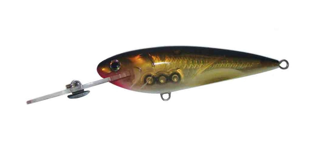 Jaz Rapide Shad 90mm 16g Deep Diver Hard Body Lure [cl:mullet Fl - 101]