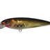 Jaz Rapide Shad 90mm 16g Shallow Hard Body Lure [cl:mullet Fl - 101]