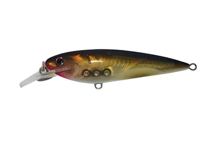 Jaz Rapide Shad 90mm 16g Shallow Hard Body Lure [cl:mullet Fl - 101]