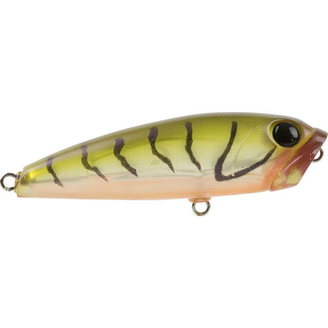 Atomic Semi Hardz Soft Pop 50mm Popper Lure >^ [cl:muddy Prawn]