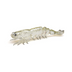 Zman Prawnz Elite Unrigged 3.5" Soft Plastic Lure [cl:jelly Prawn]