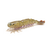 Zman Prawnz Elite Unrigged 5" Soft Plastic Lure [cl:golden Boy]
