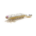 Zman Prawnz Elite Unrigged 5" Soft Plastic Lure [cl:beer Run]