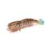 Zman Prawnz Elite Unrigged 5" Soft Plastic Lure [cl:tiger Prawn]