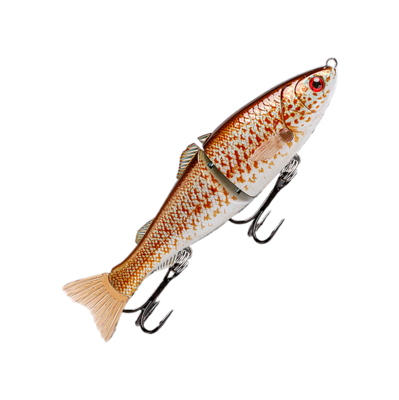 Fishcraft Dr Glide 127mm 23g Hard Body Swimbait Lure [cl:spangled Perch]