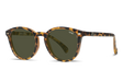 Liive Berawa Polarised Sunglasses (matt Tort)