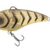 Nomad Swimtrex Max 57mm 15g Sinking Hard Body Vibe Lure [cl:ayu Shrimp]
