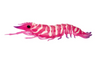 Nomad Sumo Shrimp Unrigged 6.5" Soft Plastic Lure [cl:hyper Tiger]