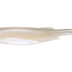 Nomad Live Ops Maniax 8" Soft Plastic Swimbait Lure [cl:pearl White]