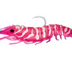 Nomad Live Ops Sumo Shrimp Pre-rigged 4" Soft Plastic Lure [cl:hyper Pink]