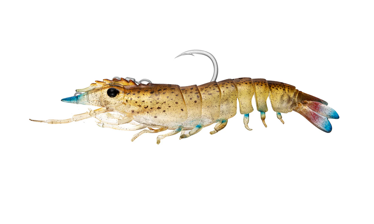 Nomad Live Ops Sumo Shrimp Pre-rigged 4" Soft Plastic Lure [cl:speckled Stalker]