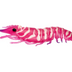 Nomad Live Ops Sumo Shrimp Unrigged 4" Soft Plastic Lure [cl:hyper Pink]