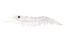 Nomad Live Ops Sumo Shrimp Unrigged 4" Soft Plastic Lure [cl:white Glow]