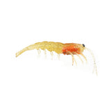 Pro Lure Clone Prawn 92mm Soft Plastic Lure