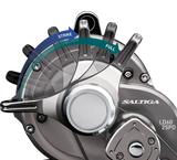 Daiwa 20 Saltiga Ld Lever Drag 2 Speed Overhead Reel